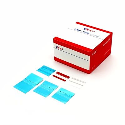 Giá tốt 2 Dây băng nối với phim polyester để in độ phân giải 300 Dpi trực tuyến