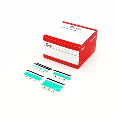 Giá tốt 2 Dây băng polyester với lớp phủ cho thị trường cạnh tranh trực tuyến